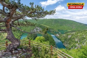Knežević: Tajnim izmjenama iz Natura 2000 mreže izbačena rijeka Ćehotina