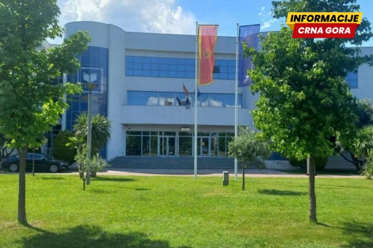 Društvo