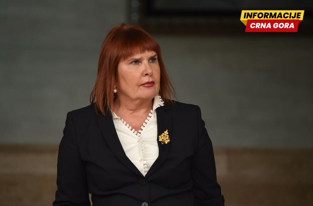 Pavličić: Vidljiv i mjerljiv napredak u sudskom sistemu, izazovi u radu - kadrovski, prostorni i budžetski deficiti