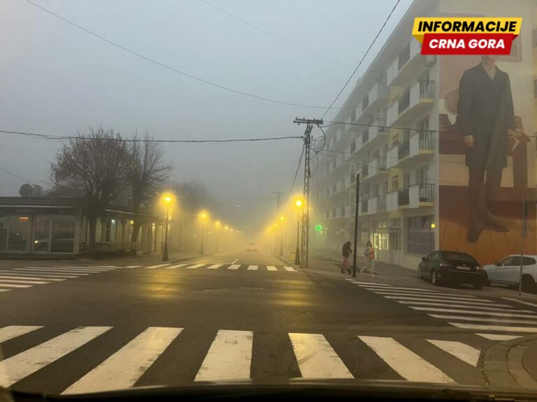 Društvo