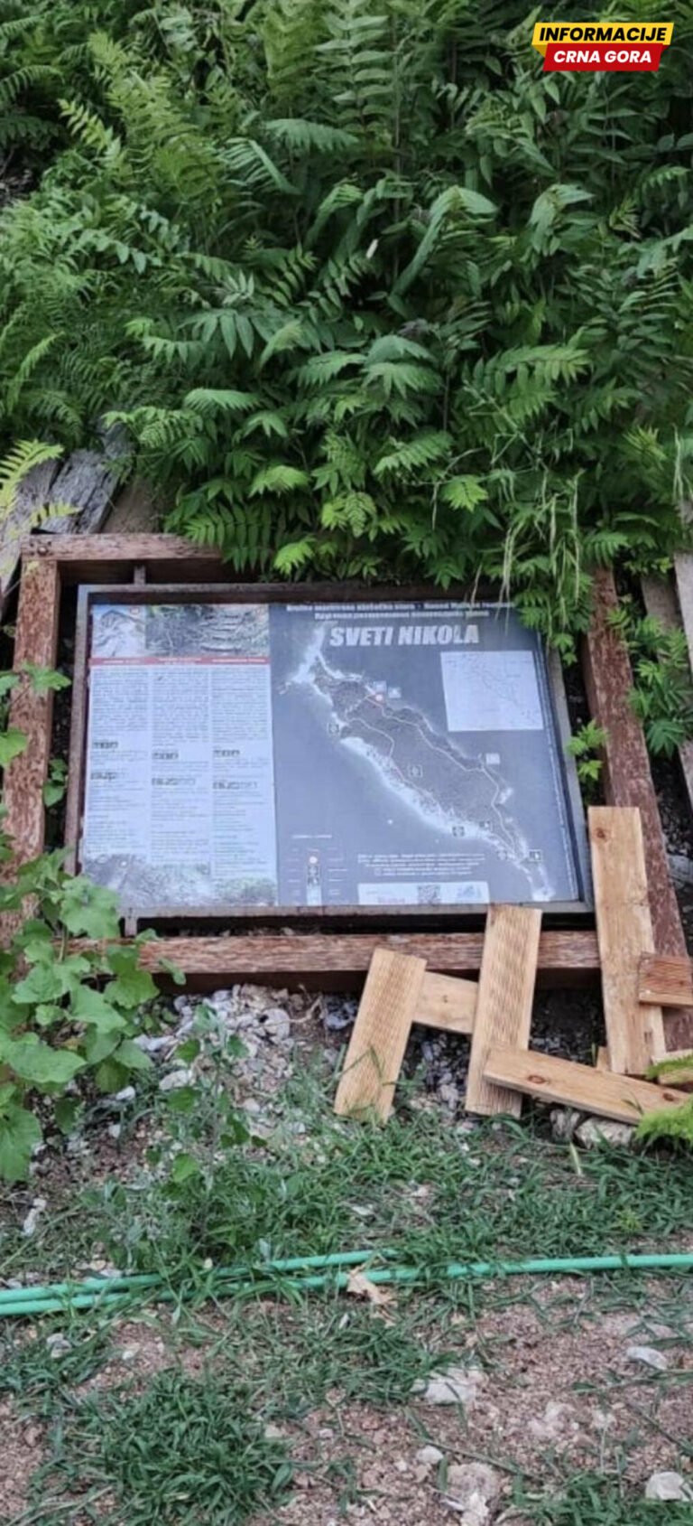 Društvo