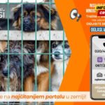 Hiljade šapica čekaju na svoj dom