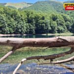 Biogradska gora najčešća meta divljih graditelja