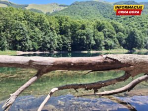 Biogradska gora najčešća meta divljih graditelja