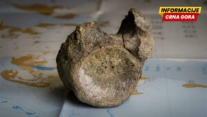 Najranije otkriće dinosaurusa na Antarktiku pronađeno u fioci