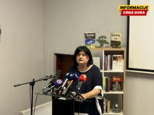 Ilinčić: Napadi na mene osmišljeni su temeljno i naivno, pokušaj diskreditacije biblioteke i zloupotreba dječaka