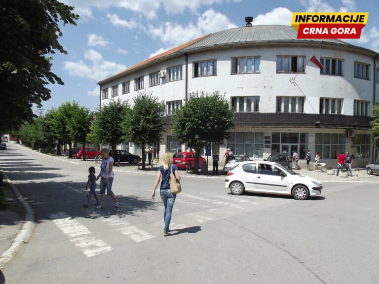 Društvo