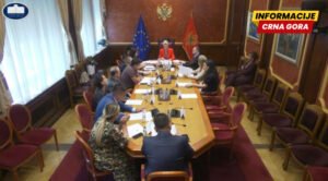 DPS traži da se o izmjenama Ustava konsultuje i Venecijanska komisija