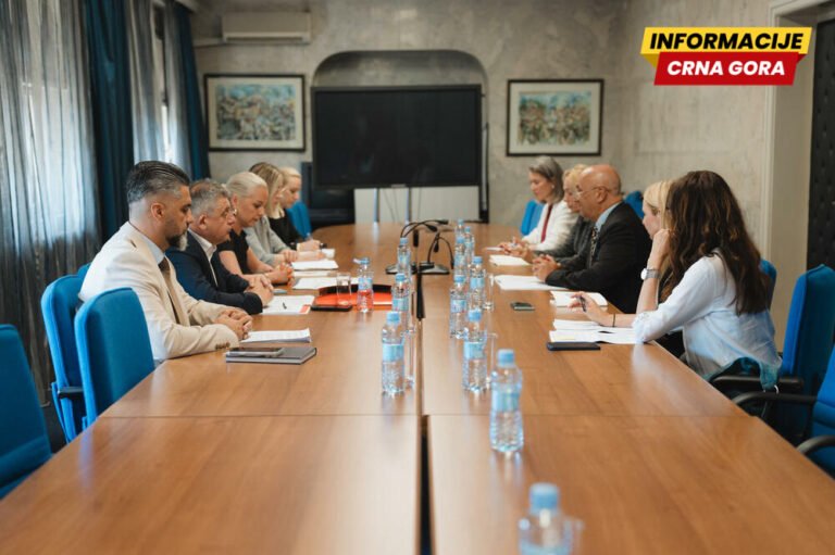 Djelotvorna kontrola malog i lakog oružja važan segment jačanja bezbjednosti