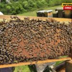 Kolašin: Podrška pčelarima i farmerima
