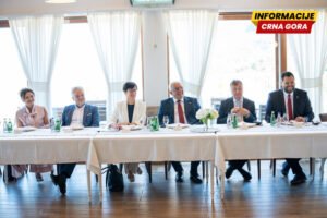 Mandić: Mladi srpski političari ključni za ulazak Crne Gore u EU