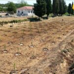 Edukativni voćnjaci ne gase škole: Besnik Adović reagovao na optužbe mještana sela Zoganje kraj Ulcinja