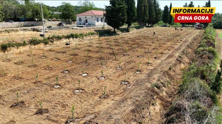 Edukativni voćnjaci ne gase škole: Besnik Adović reagovao na optužbe mještana sela Zoganje kraj Ulcinja