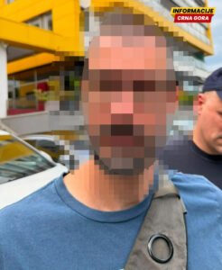 MUP Srbije o hapšenju Vulevića: Razlikovati međunarodnu saradnju od operativnog rada