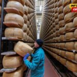 Ekstremne vrućine prijete srcu italijanske proizvodnje parmezana