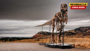Da li bi ovaj tiranosaurus reks mogao da postane najskuplji dinosaurus na svijetu