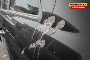 Kako bezbjedno ukloniti ptičji izmet sa automobila - bez trajnih oštećenja laka
