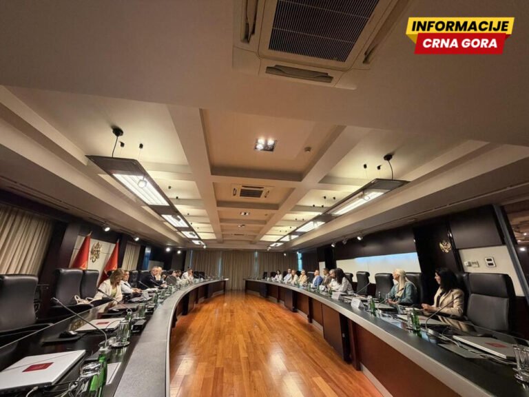 Na sjednici Savjeta za prava lica sa invaliditetom razmatrana inicijativa za besplatno korišćenje javnog prevoza