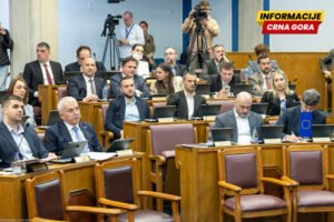 “Super četvrtak” za Krstonijevića i Ružičić? Danas glasanje o kandidatima za sudije Ustavnog suda