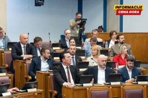 Krstonijević i Ružičić izabrani za sudije Ustavnog suda