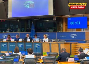 Picula: Ukazao sam na pritiske na preostale nezavisne medije u Srbiji i Crnoj Gori kroz promjene vlasničkih struktura