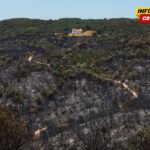 U šumskim požarima u Španiji uništeno više od 13.000 hektara zemljišta