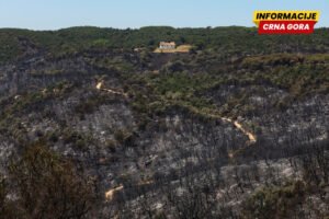 U šumskim požarima u Španiji uništeno više od 13.000 hektara zemljišta