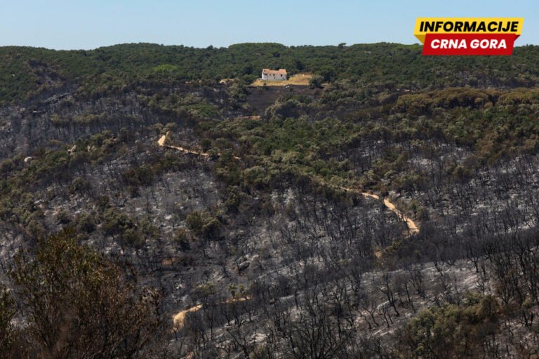 U šumskim požarima u Španiji uništeno više od 13.000 hektara zemljišta