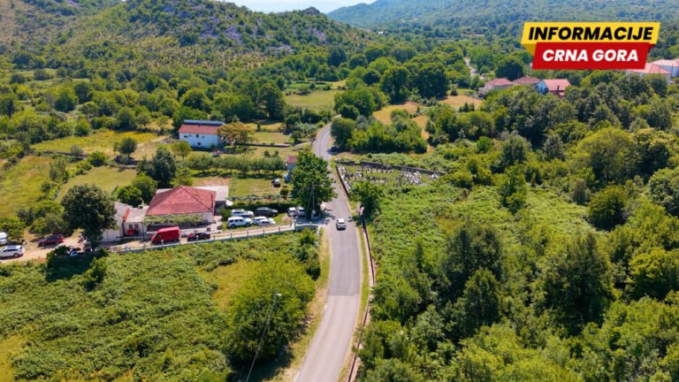 Društvo