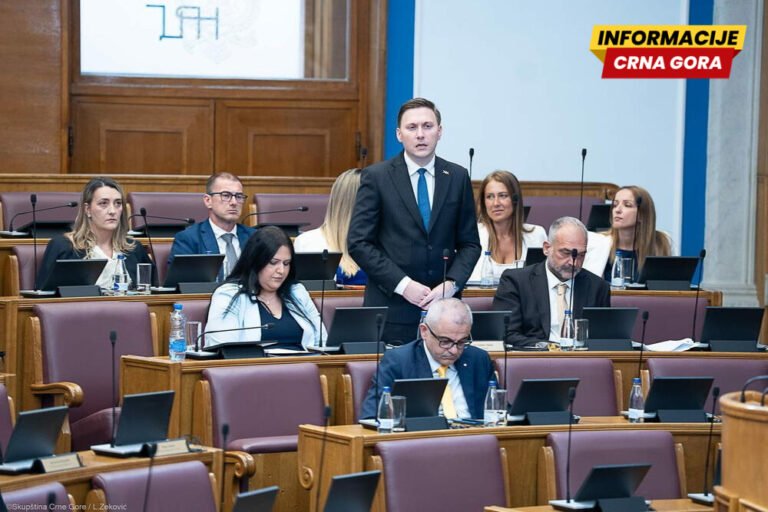 Društvo