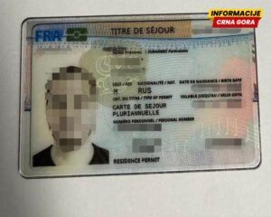 Na Aerodromu Podgorica uhapšeni ruski državljani sa falsifikovanim francuskim boravišnim dozvolama