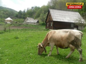 Za mlade farmere u Kolašinu daju do 4.000 eura