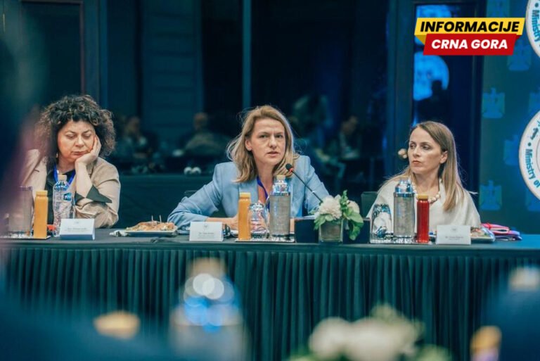 Predsjednica Privredne komore predstavila potencijale crnogorske privrede u Kairu