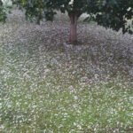 Grad pričinio materijalnu štetu u Danilovgradu i Podgorici