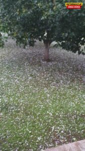 Grad pričinio materijalnu štetu u Danilovgradu i Podgorici