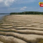 Veliki Dunav trenutno kao potok – u fotografijama