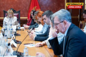 Administrativni odbor hoće da i „društvenjaci” mogu u CIK: Hoće li biti izmjena Zakona o izboru odbornika i poslanika?