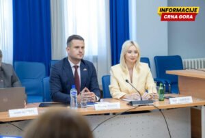 Gorčević: Odluka da konferencija sa EU bude u septembru donijeta prije dvadesetak dana, nije povezana s rekonstrukcijom