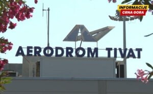 Ptice poremetile saobraćaj na aerodromu u Tivtu, iz ACG-a tvrde da su na kraju svi letovi realizovani