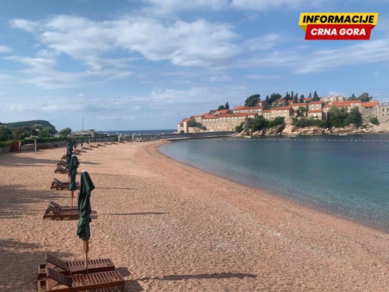 Društvo