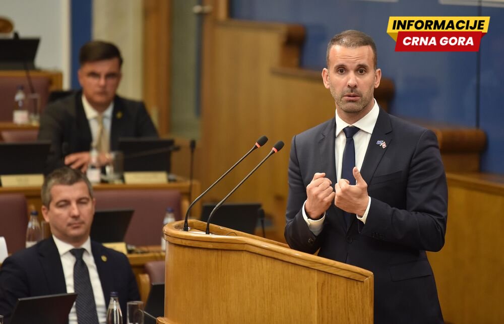 Spajić: Irelevantno je koliko Vlada ima ministara, parlament je najglomaznija institucija u zemlji