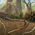 Fosil iz doba dinosaurusa pruža novi uvid u evoluciju zmija