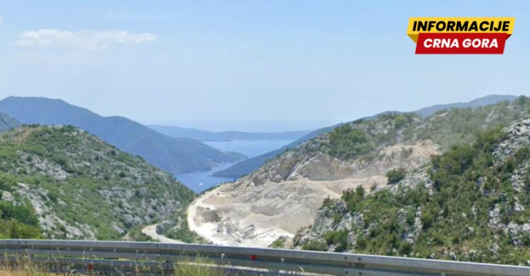 Društvo