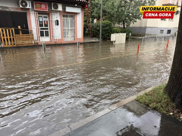 Društvo