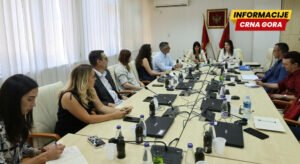 Šišević: Trgovina ljudima predstavlja teško kršenje osnovnih ljudskih prava i napad na dostojanstvo čovjeka
