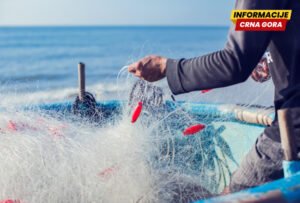 Udruženje ribara Kotora: Država da konačno reaguje na uništavanje prirode prekomjernim pomorskim saobraćajem