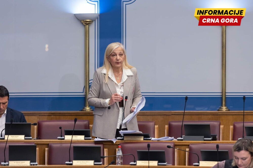 Despotović: Joković bježi od odgovornosti