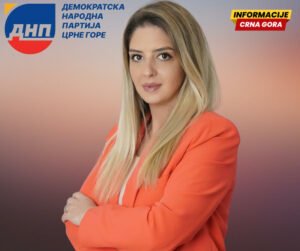 Todorović: Petrović objavio da bi tukao Kneževića do smrti, lider DNP-a nije podnosio prijavu
