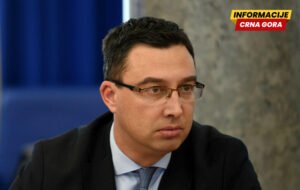 Bojović: Predložićemo izmjene i dopune Zakona o oružju i municiji