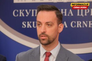 Zirojević: Spajić da sazove Vijeće za nacionalnu bezbjednost, tražiću njegovo i saslušanje čelnika bezbjednosnog sektora
